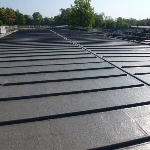 Polyroof Technology Development Roofing